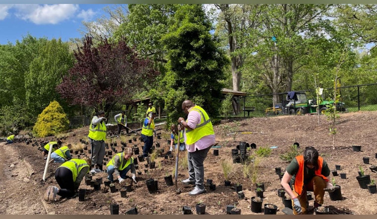 Raleigh Volunteers Contribute Over 2.6K Hours in Earth Month Initiatives, Planting Trees and Reducing Litter