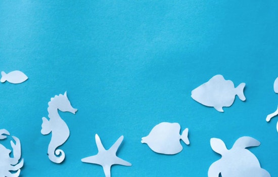 Raleigh's Abbotts Creek Community Center to Host "Sea Ya Later Spring" Event for Kids