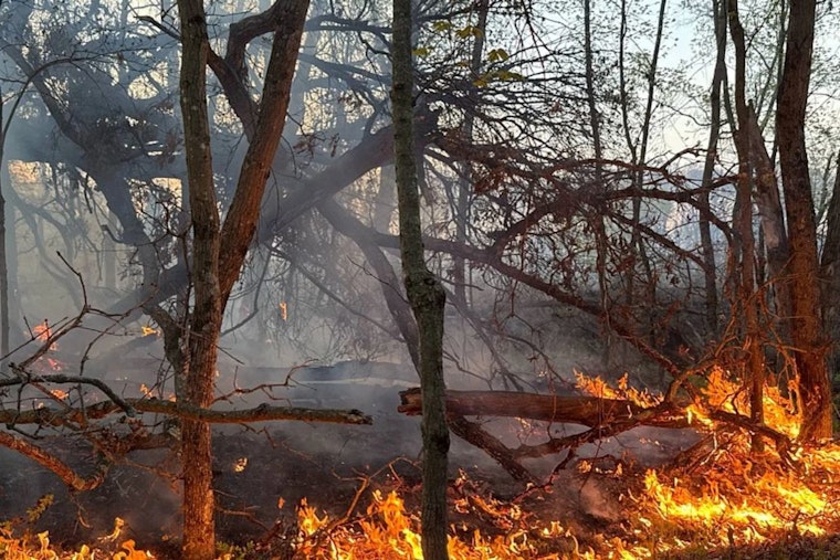 Red Flag Warning Issued for Northwest Wisconsin Counties Amid Extreme Wildfire Risks