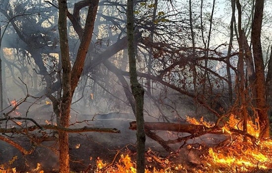 Red Flag Warning Issued for Northwest Wisconsin Counties Amid Extreme Wildfire Risks