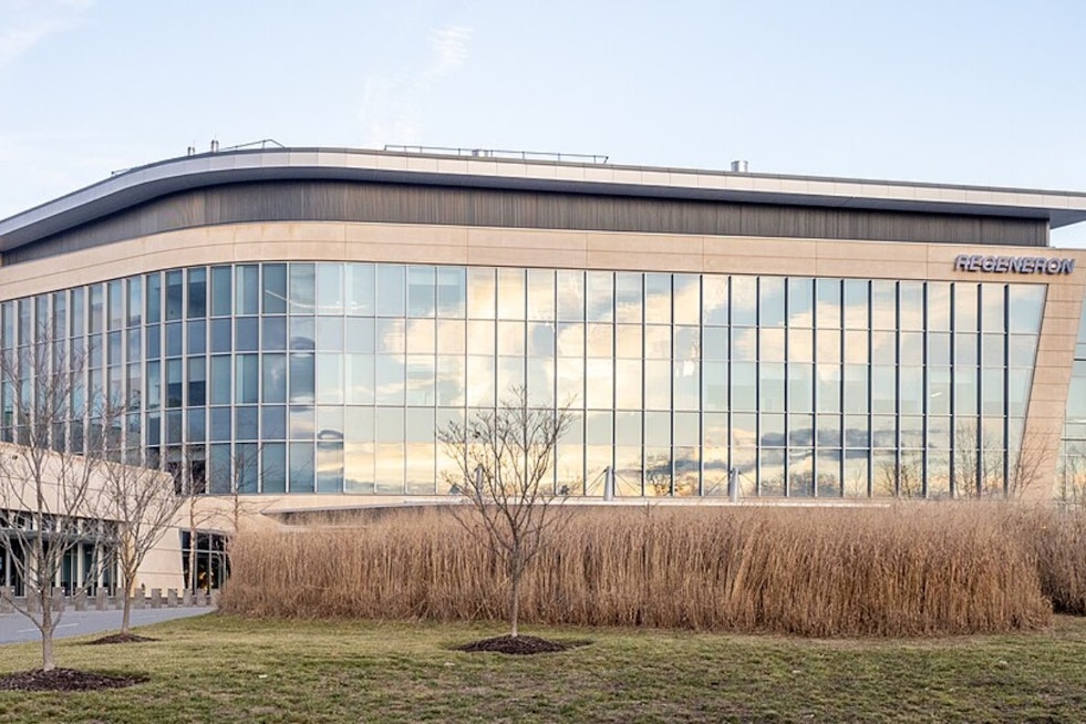 Regeneron Acquires Bankrupt 23andMe's Assets for $256 Million Amidst Potential Layoffs in San Francisco