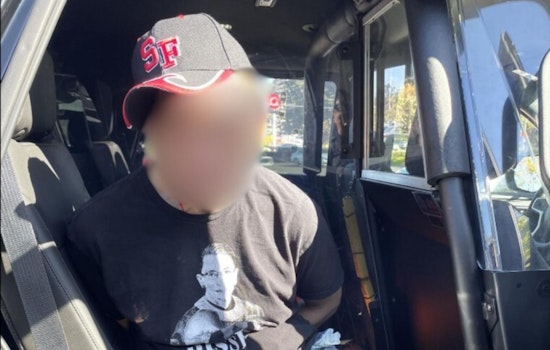 Repeat Offender from San Francisco Arrested for Theft and Related Charges in Colma