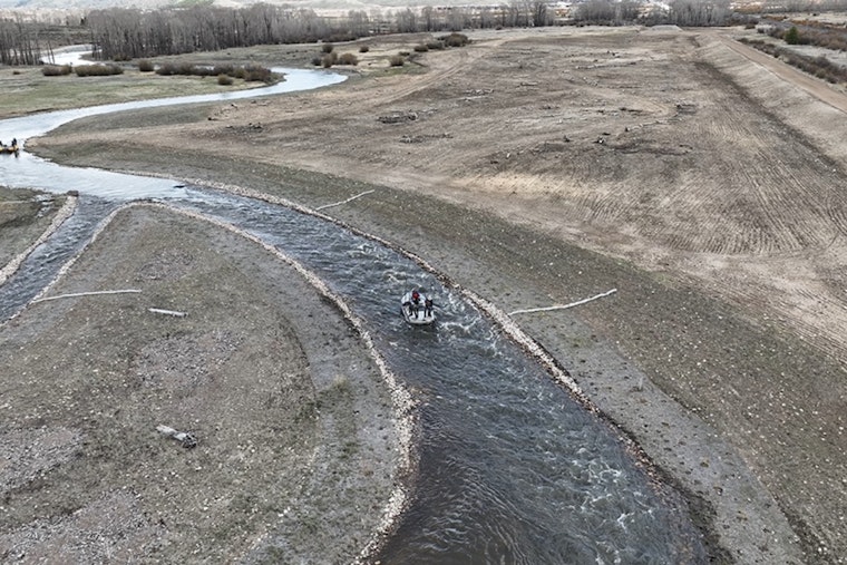 Revival of Native Fish in Colorado's Rivers: CPW's Conservation Efforts Prove Successful