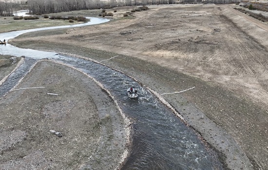 Revival of Native Fish in Colorado's Rivers: CPW's Conservation Efforts Prove Successful