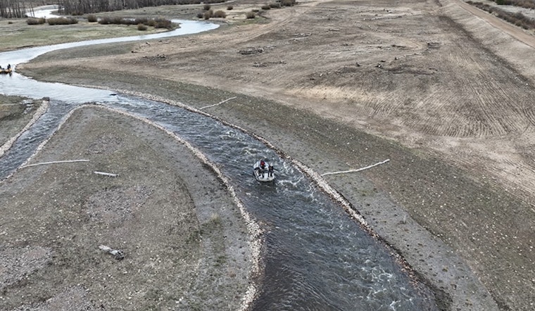 Revival of Native Fish in Colorado's Rivers: CPW's Conservation Efforts Prove Successful