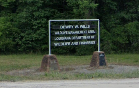 Road Closures Announced at Dewey W. Wills Wildlife Area Near Alexandria Due to Flood Concerns