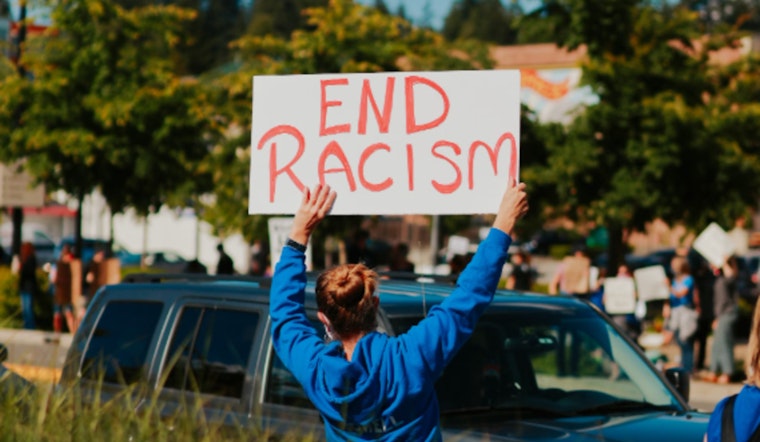Rochester Lawmakers Unite in Condemnation of Racial Slurs in Viral Playground Incident