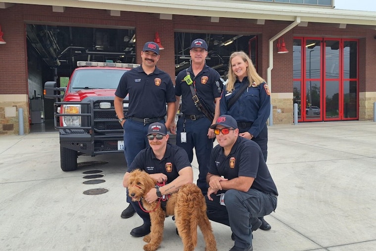 Round Rock Firefighters Welcome Ivy, the Goldendoodle Therapy Dog, to Battle Stress and Mental Strain