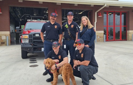 Round Rock Firefighters Welcome Ivy, the Goldendoodle Therapy Dog, to Battle Stress and Mental Strain