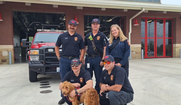 Round Rock Firefighters Welcome Ivy, the Goldendoodle Therapy Dog, to Battle Stress and Mental Strain
