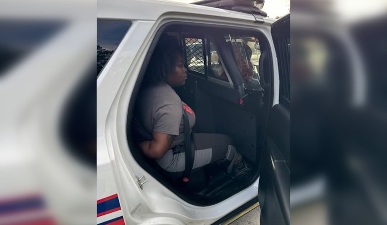 Routine Traffic Stop in Houston's Walter's Road Leads to Arrest of Woman with Theft Warrant