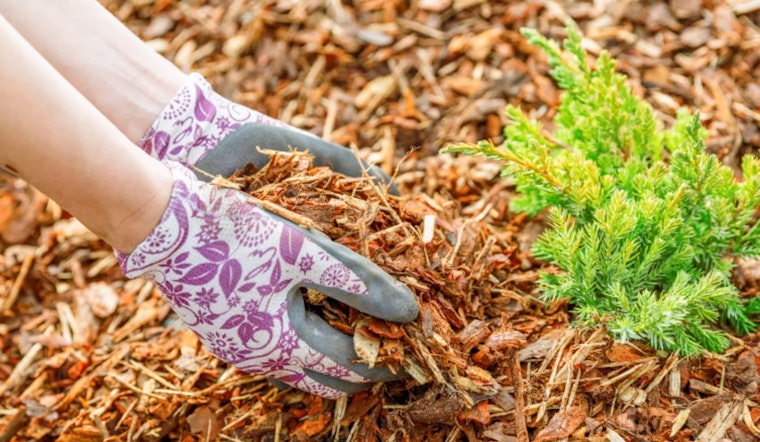 Sacramento Celebrates "Mulch Mayhem", Free Mulch and Compost Giveaway on May 17 to Boost Water Conservation and Garden Health