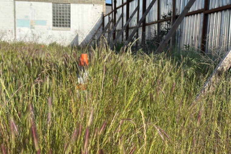 Sacramento Sets Deadline for Weed Abatement to Curb Fire Risk, Urges Property Owners to Comply or Face Fines