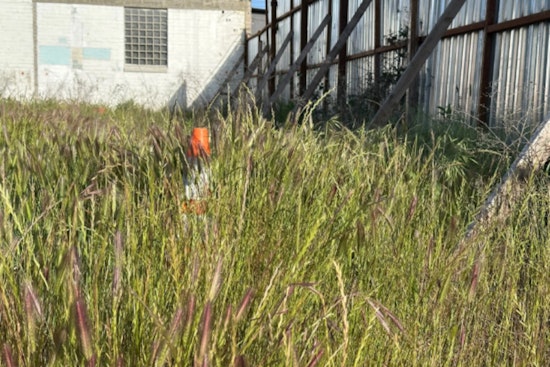 Sacramento Sets Deadline for Weed Abatement to Curb Fire Risk, Urges Property Owners to Comply or Face Fines