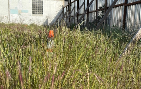 Sacramento Sets Deadline for Weed Abatement to Curb Fire Risk, Urges Property Owners to Comply or Face Fines