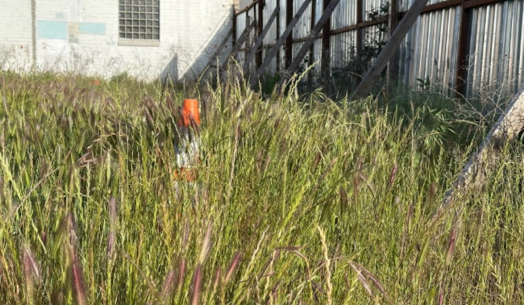 Sacramento Sets Deadline for Weed Abatement to Curb Fire Risk, Urges Property Owners to Comply or Face Fines