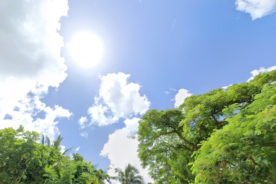 Sacramento Welcomes Spring with Sun and Rising Temperatures, Says National Weather Service