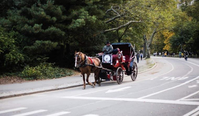 Safety Concerns Mount in NYC After Central Park Carriage Accidents and Runaway Horse Incident