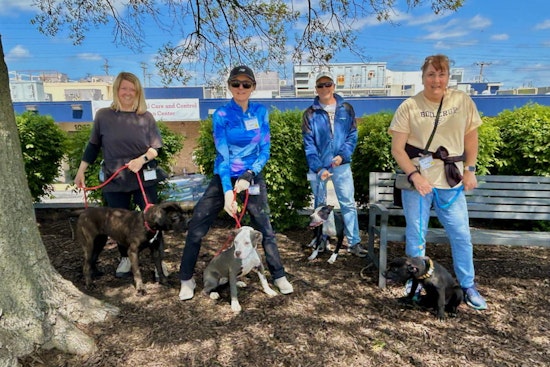 Saint Louis County Animal Shelter Expands Volunteer Program, Welcomes Animal Lovers to Join the Cause