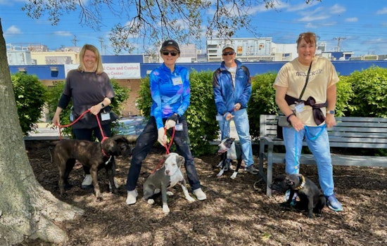 Saint Louis County Animal Shelter Expands Volunteer Program, Welcomes Animal Lovers to Join the Cause