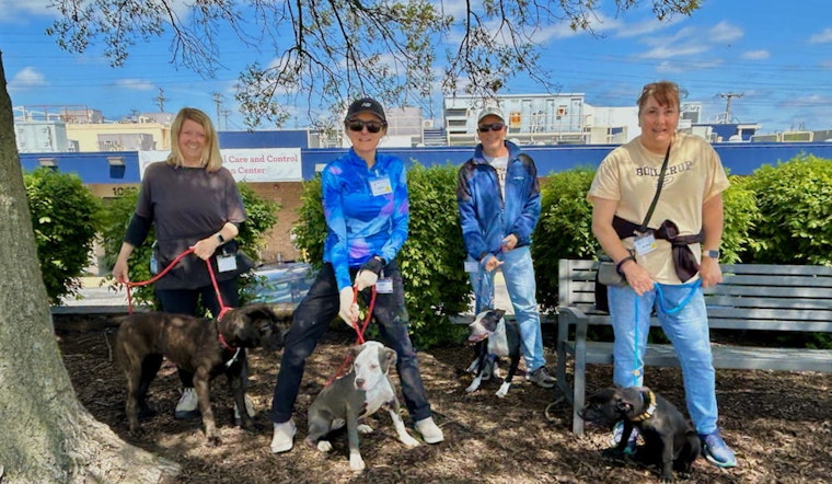 Saint Louis County Animal Shelter Expands Volunteer Program, Welcomes Animal Lovers to Join the Cause