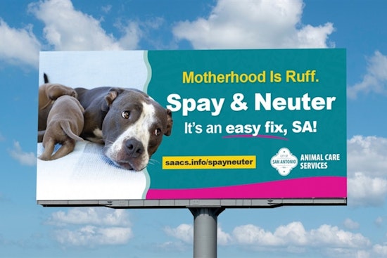 San Antonio Animal Care Services Launches Campaign for Humane Pet Treatment Amidst Summer Heat