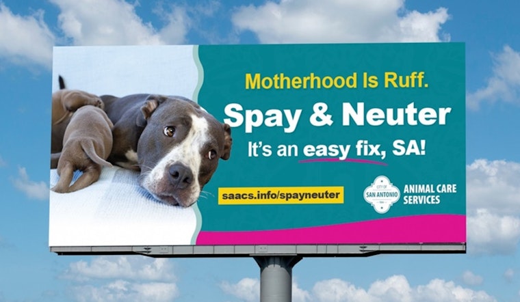 San Antonio Animal Care Services Launches Campaign for Humane Pet Treatment Amidst Summer Heat