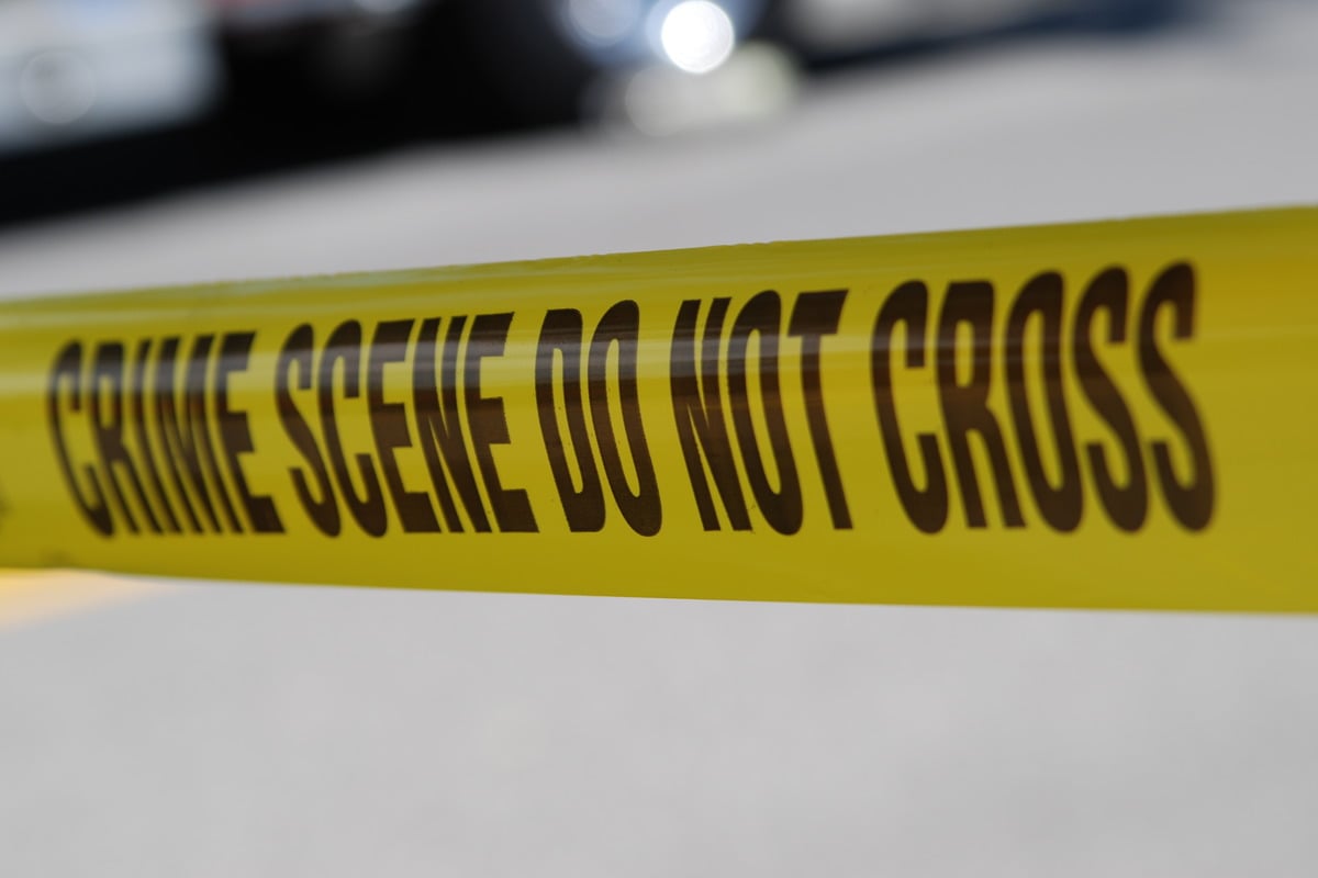 Assault News Image