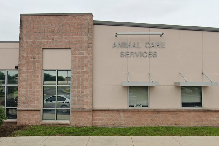 San Antonio's "Empty the Shelters" Event Slashes Pet Adoption Fees to $25 with Full Care Packages