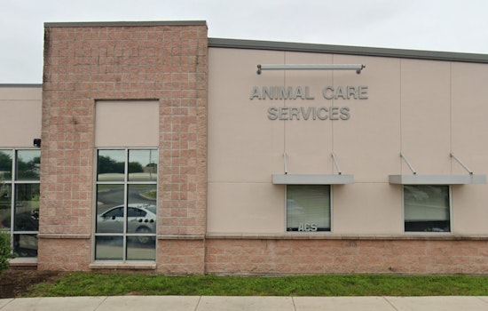 San Antonio's "Empty the Shelters" Event Slashes Pet Adoption Fees to $25 with Full Care Packages