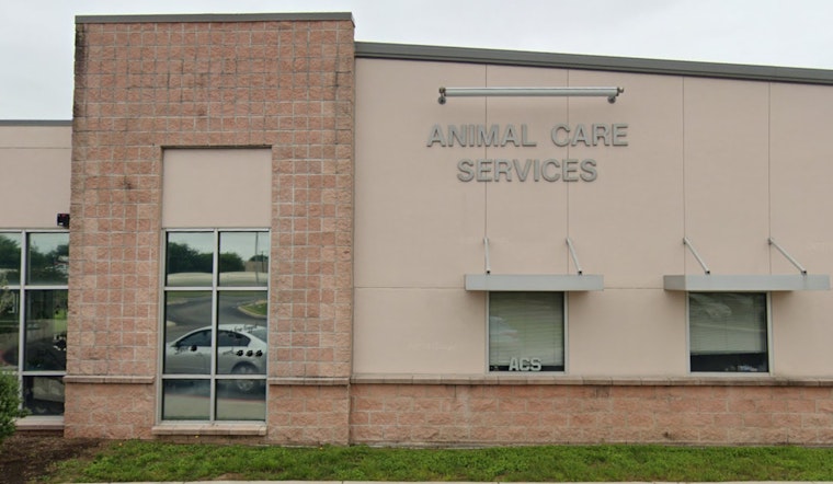 San Antonio's "Empty the Shelters" Event Slashes Pet Adoption Fees to $25 with Full Care Packages
