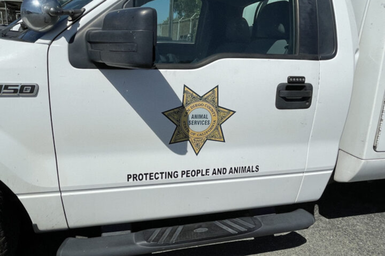San Diego Animal Services Seize Nine Pets from Julian Animal Wellness Center Amid Neglect Allegations
