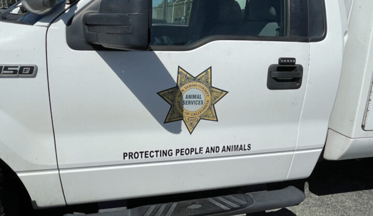 San Diego Animal Services Seize Nine Pets from Julian Animal Wellness Center Amid Neglect Allegations