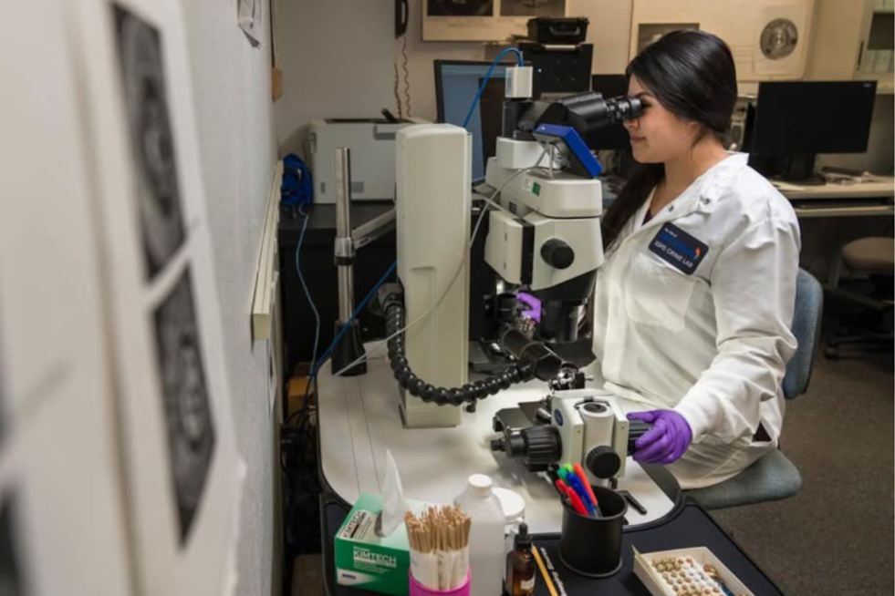 San Diego Police Department Clears Sexual Assault Kit Backlog, Pioneers Faster Processing Times Ahead of State Mandate