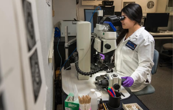 San Diego Police Department Clears Sexual Assault Kit Backlog, Pioneers Faster Processing Times Ahead of State Mandate