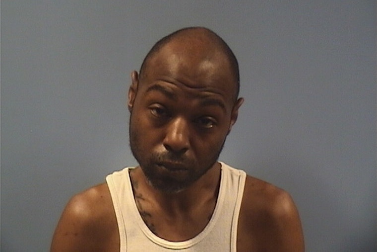 Sandusky Man Charged with Felony Animal Cruelty for Stabbing 8-Month-Old Puppy