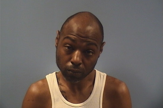 Sandusky Man Charged with Felony Animal Cruelty for Stabbing 8-Month-Old Puppy