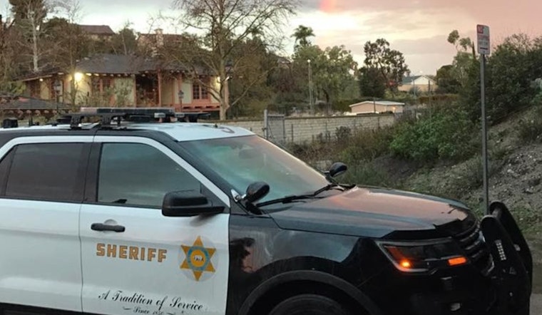 Santa Clarita Valley Sheriff's Deputies Arrest Two in Swift Shutdown of Shoplifting Operation