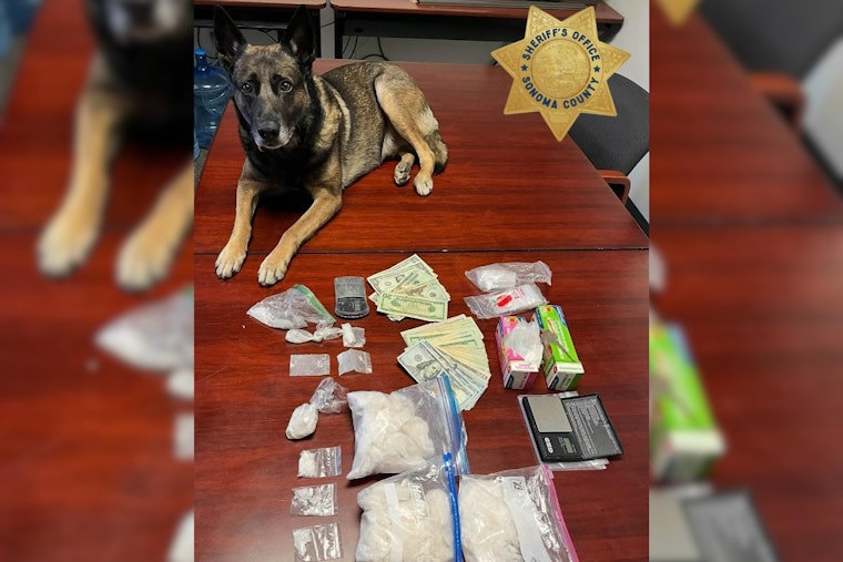 Santa Rosa Man Suspected of Drug Trafficking After Canine-Assisted Bust Yields Meth and Cash in Rohnert Park