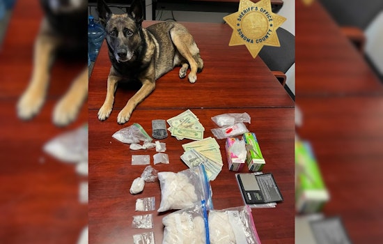 Santa Rosa Man Suspected of Drug Trafficking After Canine-Assisted Bust Yields Meth and Cash in Rohnert Park