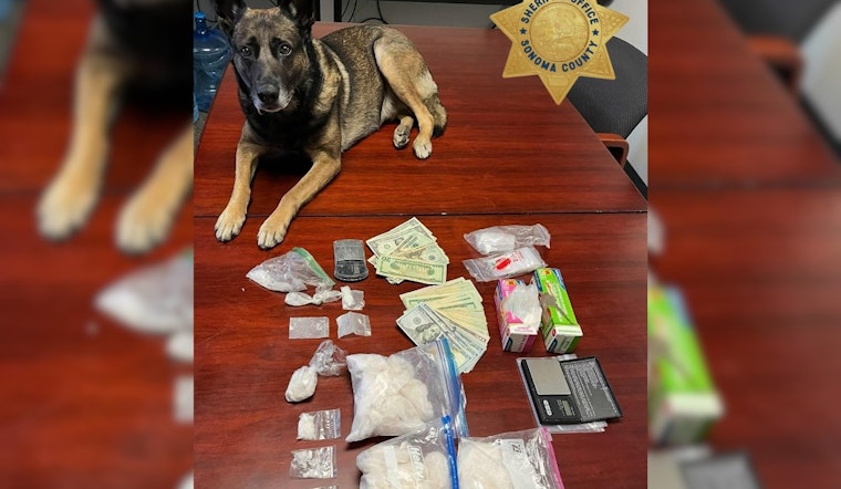 Santa Rosa Man Suspected of Drug Trafficking After Canine-Assisted Bust Yields Meth and Cash in Rohnert Park