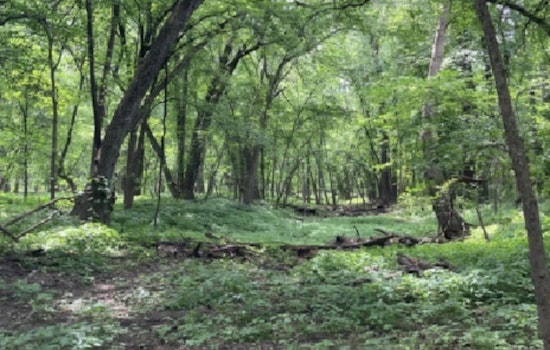 Scott County Invites Residents to De-Stress with Guided Forest Bathing Sessions at Spring Lake Regional Park
