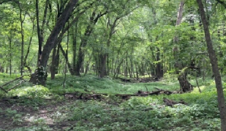 Scott County Invites Residents to De-Stress with Guided Forest Bathing Sessions at Spring Lake Regional Park
