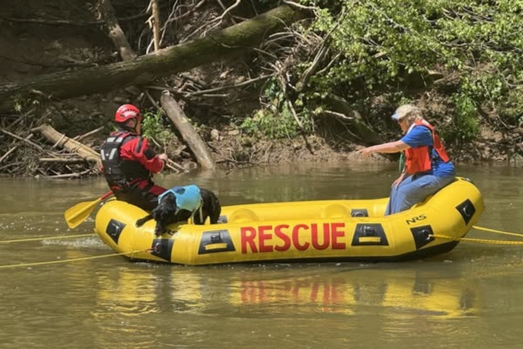 Search Intensifies for Missing 12-Year-Old Boy in Clarksville's Billy Dunlop Park