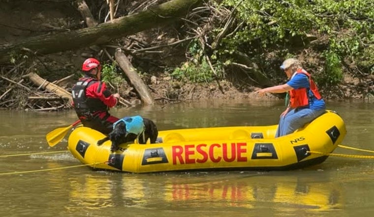 Search Intensifies for Missing 12-Year-Old Boy in Clarksville's Billy Dunlop Park