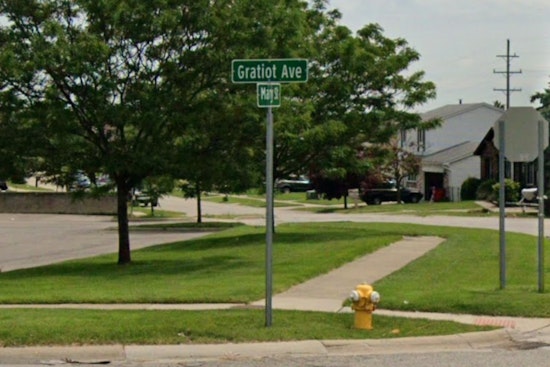 Search Underway for Mother Cat After Newborn Kittens Abandoned at Eastland Motel in Eastpointe