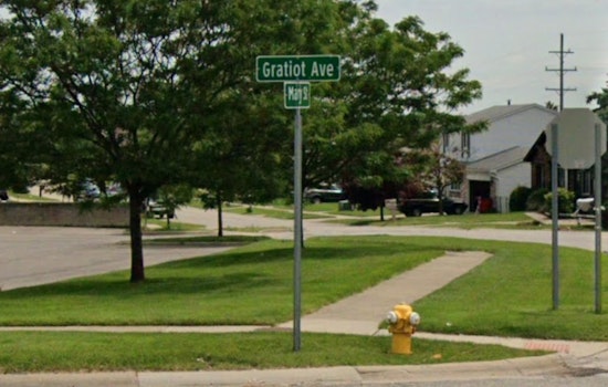 Search Underway for Mother Cat After Newborn Kittens Abandoned at Eastland Motel in Eastpointe