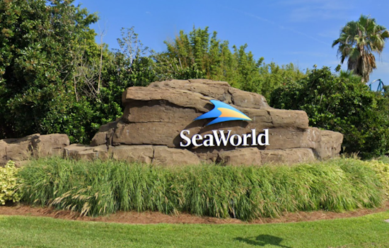 SeaWorld Orlando Unveils Summer Spectacular with Drone Shows and New Attractions