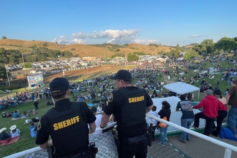 Sheriff's Frog Leaps to Victory at Calaveras County Fair and Jumping Frog Jubilee