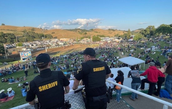 Sheriff's Frog Leaps to Victory at Calaveras County Fair and Jumping Frog Jubilee